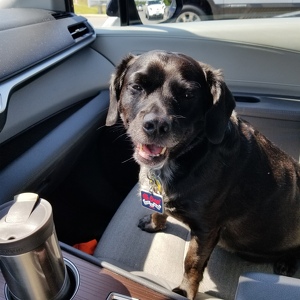 Fundraising Page: G Breeding 